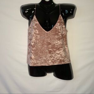 H & M Rose Velvet Top